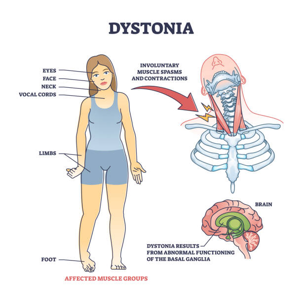 t3 eligibility-criteria-for-dbs