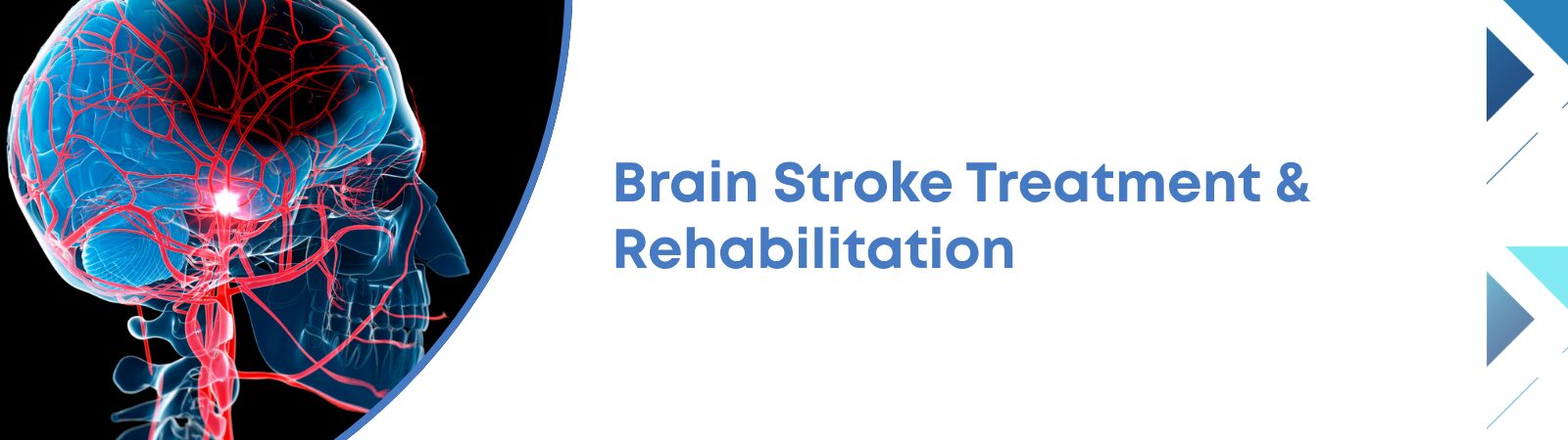 DBS Surgery for Parkinson’s Disease in Bangalore banner