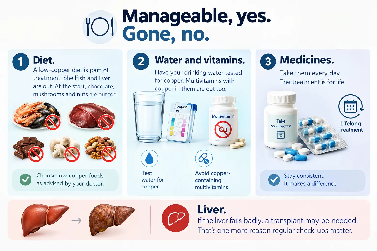 Managing Liver Health_ Diet Water Medicines